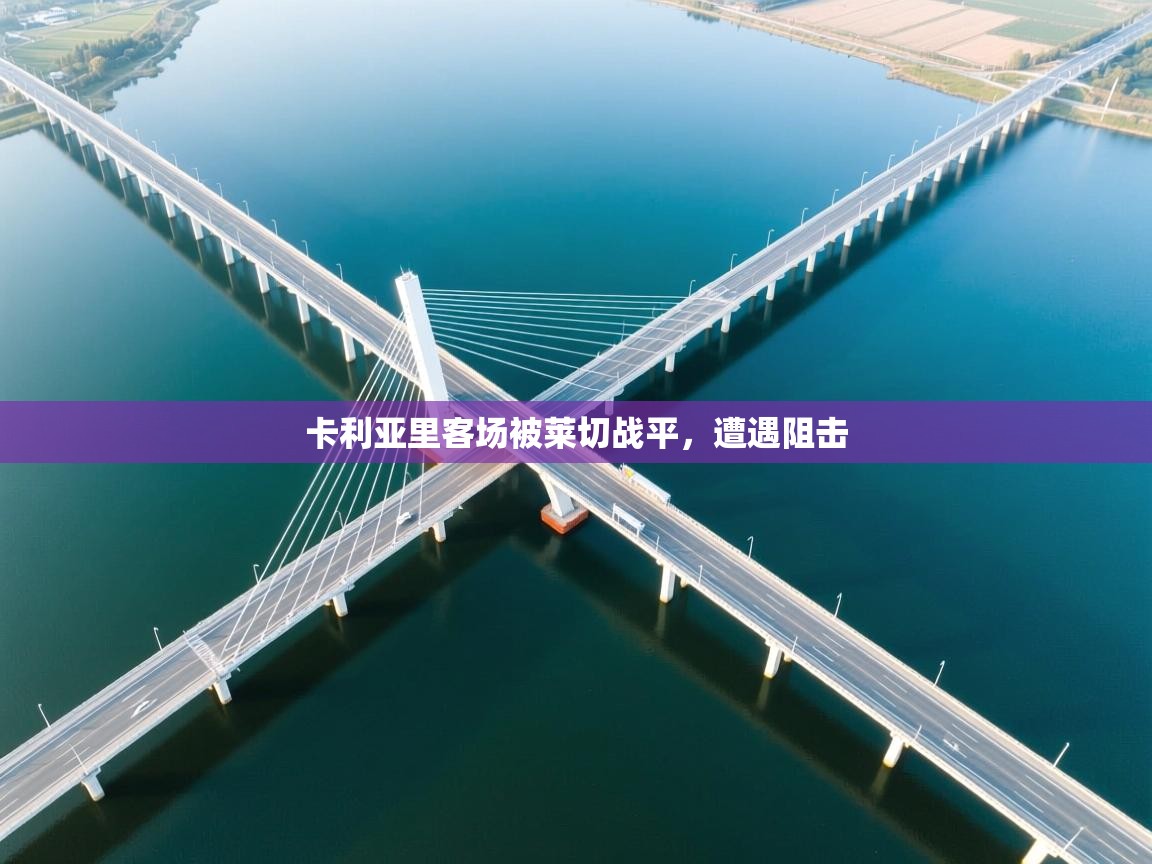 卡利亚里客场被莱切战平，遭遇阻击  第2张