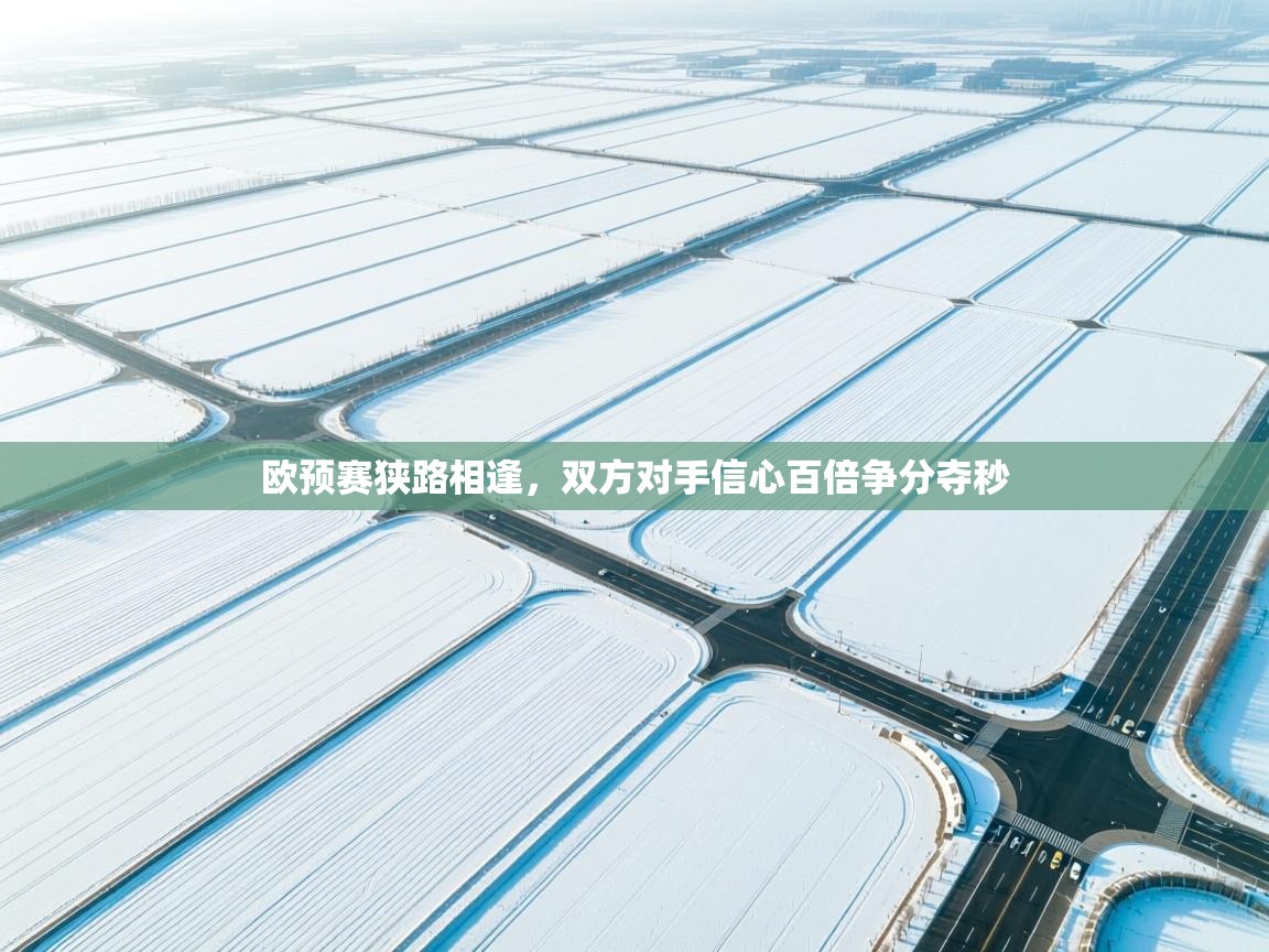 欧预赛狭路相逢，双方对手信心百倍争分夺秒  第1张