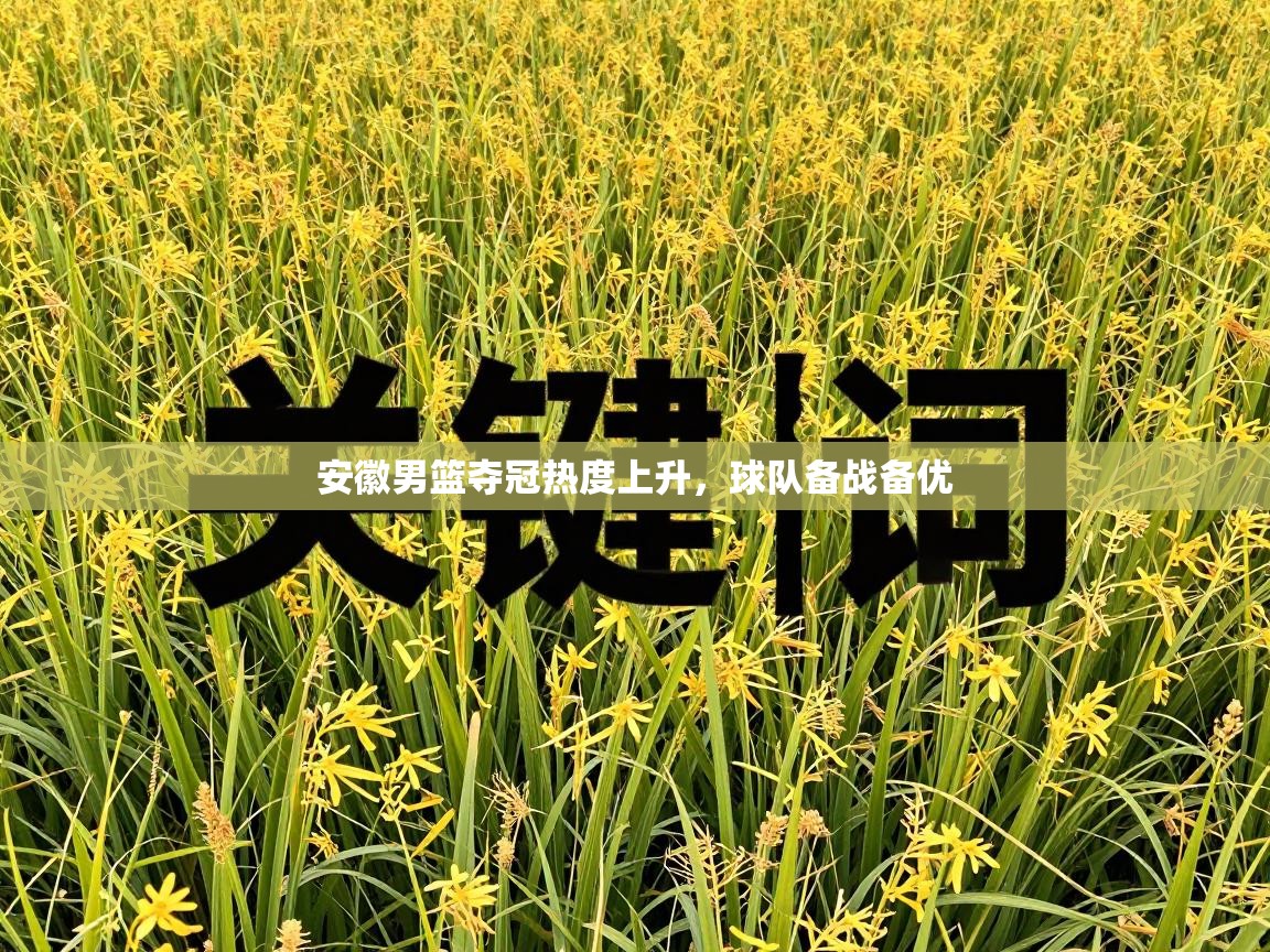 安徽男篮夺冠热度上升，球队备战备优  第2张