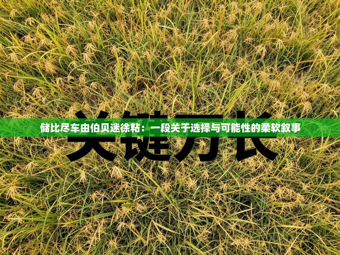 储比尽车由伯贝迷徐粘：一段关于选择与可能性的柔软叙事  第1张