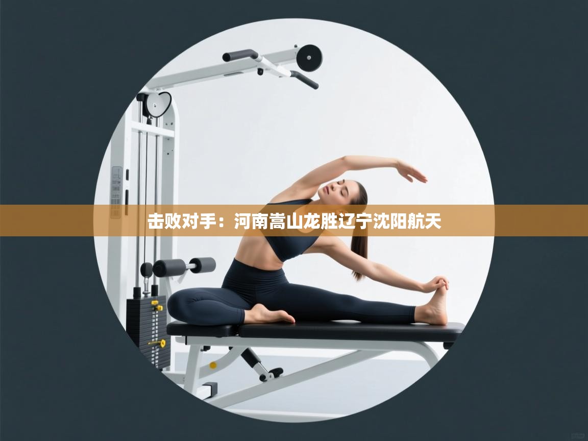 击败对手:河南嵩山龙胜辽宁沈阳航天 第2张